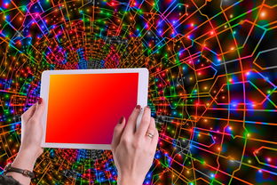 乐鱼体育在线登陆-体育新闻中心主办体育类数字创作者发展研讨会，体育产业数字化创新