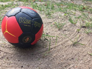 乐鱼体育官网下载-中超球队外援归队状态良好,中超外援归队情况一览表